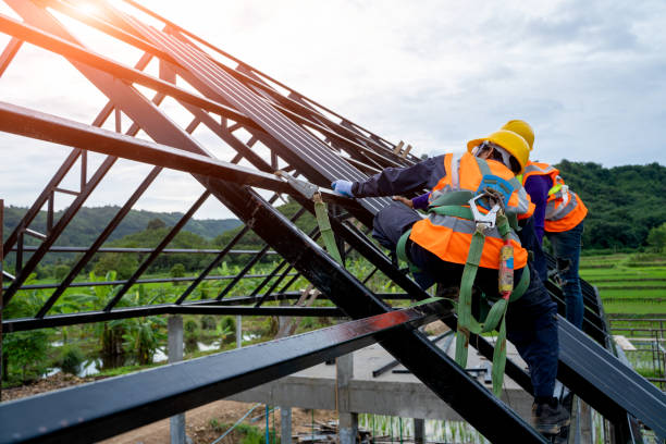 Best Roof Gutter Cleaning  in Shasta Lake, CA